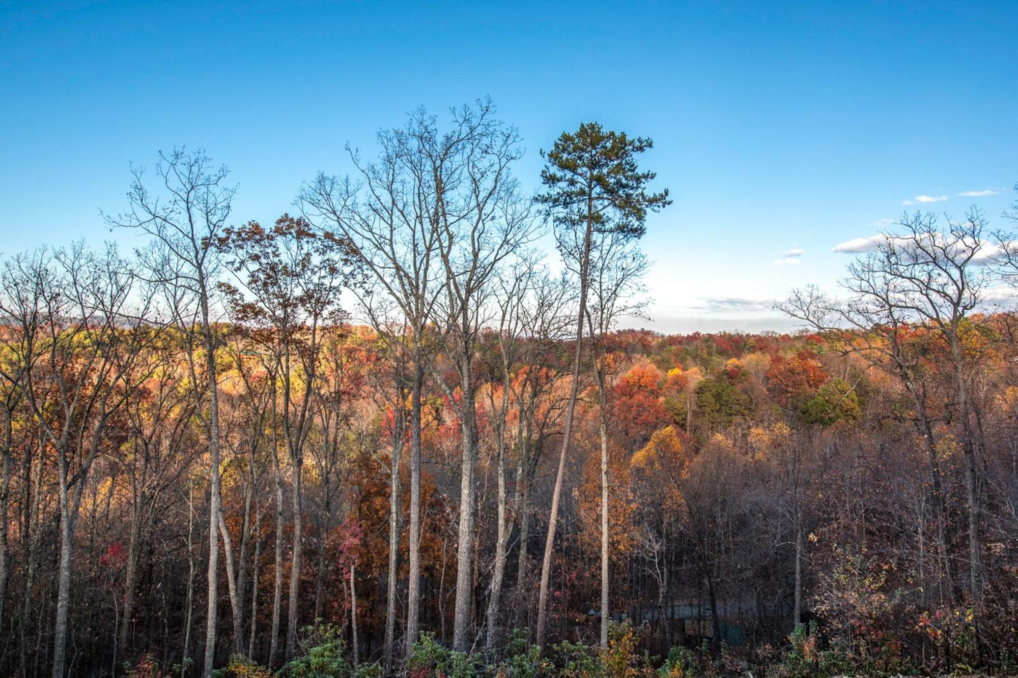 The Treetop Sanctuary Βίλα Sevierville Εξωτερικό φωτογραφία